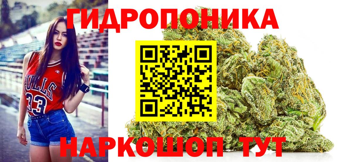 Конопля AK-47  Канабис Bruce Banner  Вход с VPN  Курчатов  Каннабис планчик 
